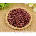 Kidney Beans And Rice